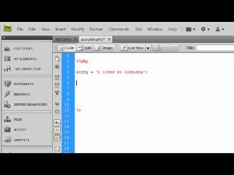 php in punjabi variables
