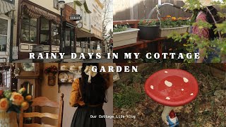 Rainy Days In My Cottage Garden   | Slow Days Gardening