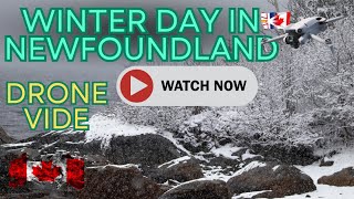 Snowy newfoundland winter landscape  ( DRONE VIDEO! ) by South side boy style 185 views 2 months ago 10 minutes, 15 seconds