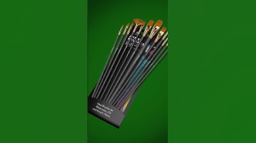 Benicci Paint Brushes Set of 12 #shorts #art #painting