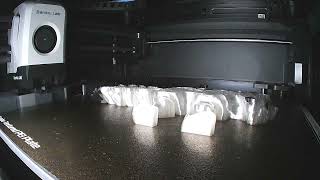 Arctic Fox Read Description