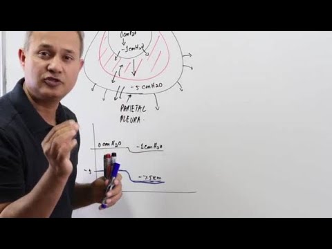 Positive Pressure Ventilation (PPV)