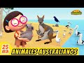 Animales Australianos Episodio Compilación (Español) - Leo, El Explorador | Animación