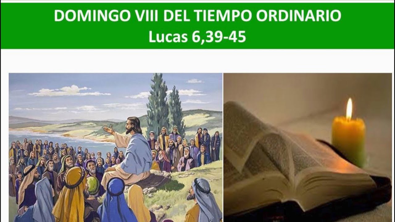 LECTIO DIVINA DOMINGO VIII DEL CICLO C DEL TIEMPO ORDINARIO - YouTube