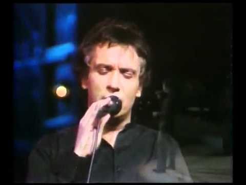 (+) michel sardou la maladie d'amour