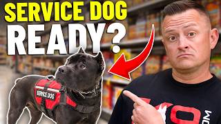 The TRUTH About Service Dog Training!