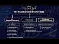 The Anabolic Steroid Family Tree - How Different Steroids Impact Muscle Building & Performance