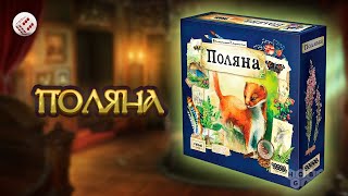 Поляна | Играем в настольную игру