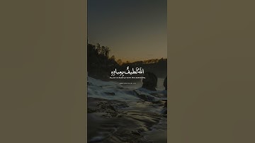 ناصر القطامي | سورة الشورى