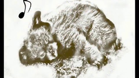 Tutorial : timeSignaturesTempo and Automation