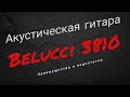 Гитара Belucci BC3810