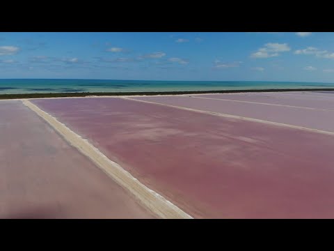 Vidéo: Tout Ce Que Vous Devez Savoir Pour Planifier Un Voyage à Las Coloradas 