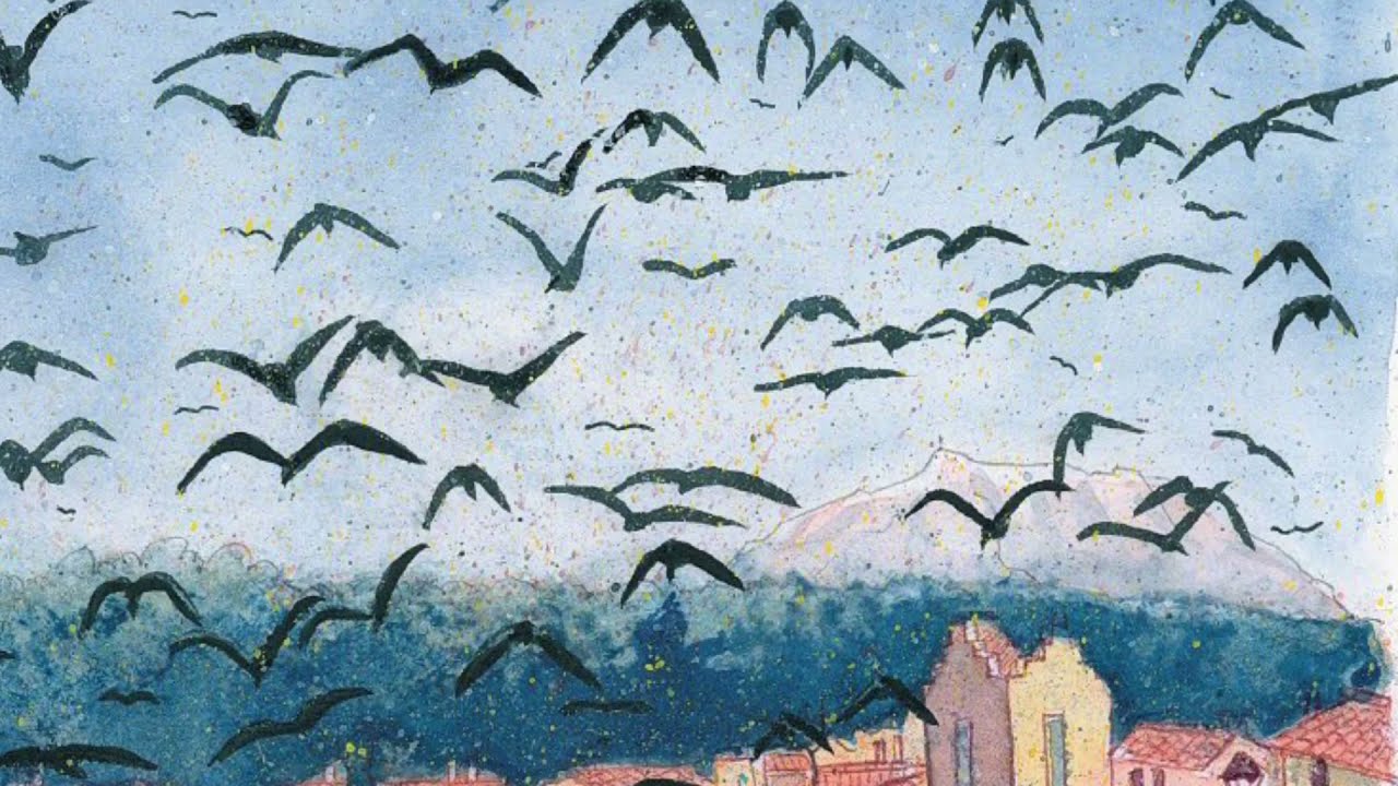 Journal anthropique de la cause animale