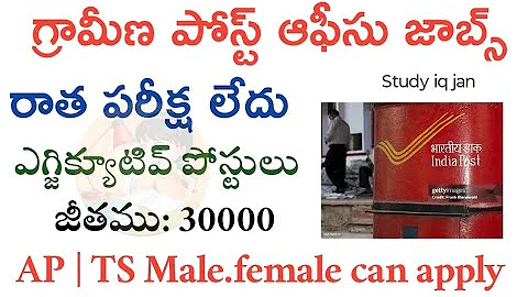 గ్రామీణ Post Office లో ఉద్యోగాలు | IPPB Postal Bank Executive Recruitment 2025