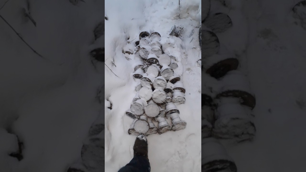 15 февраля 2026 г.0️⃣9️⃣9️⃣5️⃣4️⃣1️⃣2️⃣3️⃣6️⃣7️⃣