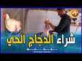 شاااهد إقبال كبير من المواطنين على شراء الدجاج الحي و ذبحه أمام أعينهم تابع الأسباب شاااهد إقبال كبير من المواطنين على شراء الدجاج الحي و ذبحه أمام أعينهم تابع الأسباب
