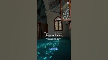 القران الكريم بصوت جميل | #quran #القرآن_الكريم