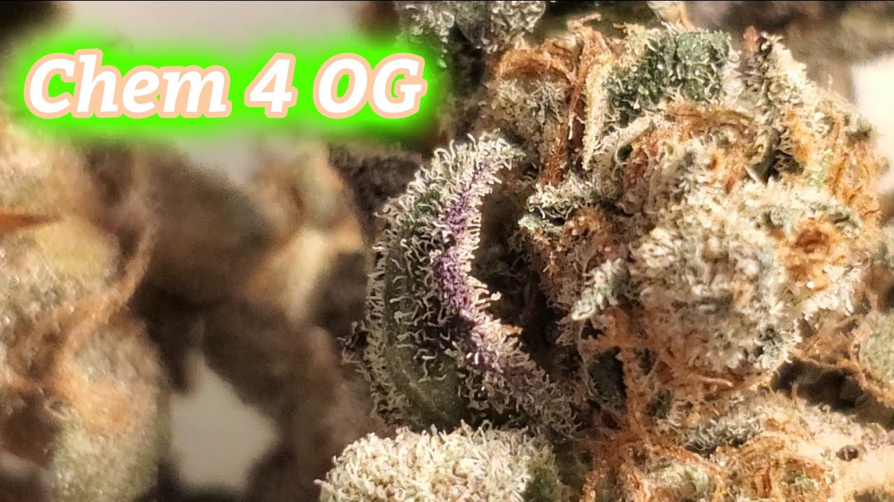 Chem 4 OG Flower by Grow West Md Medical Cannabis