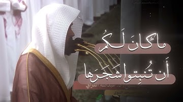 تلاوة خاشعة للشيخ عبدالله القرافي | قُلِ الحمدُ رب لِلَّهِ وَسَلامٌ علىٰ عِبادِهِ الَّذِين اصْطَفَىٰ