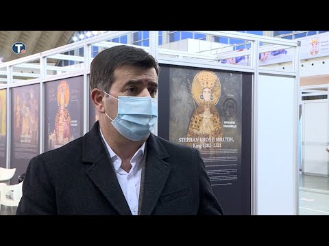Video: Doktor Coates: Nema Razloga Za Paniku Zbog Novog Virusa Pasa