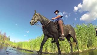 Van Hunks&#39; Afternoon Ride