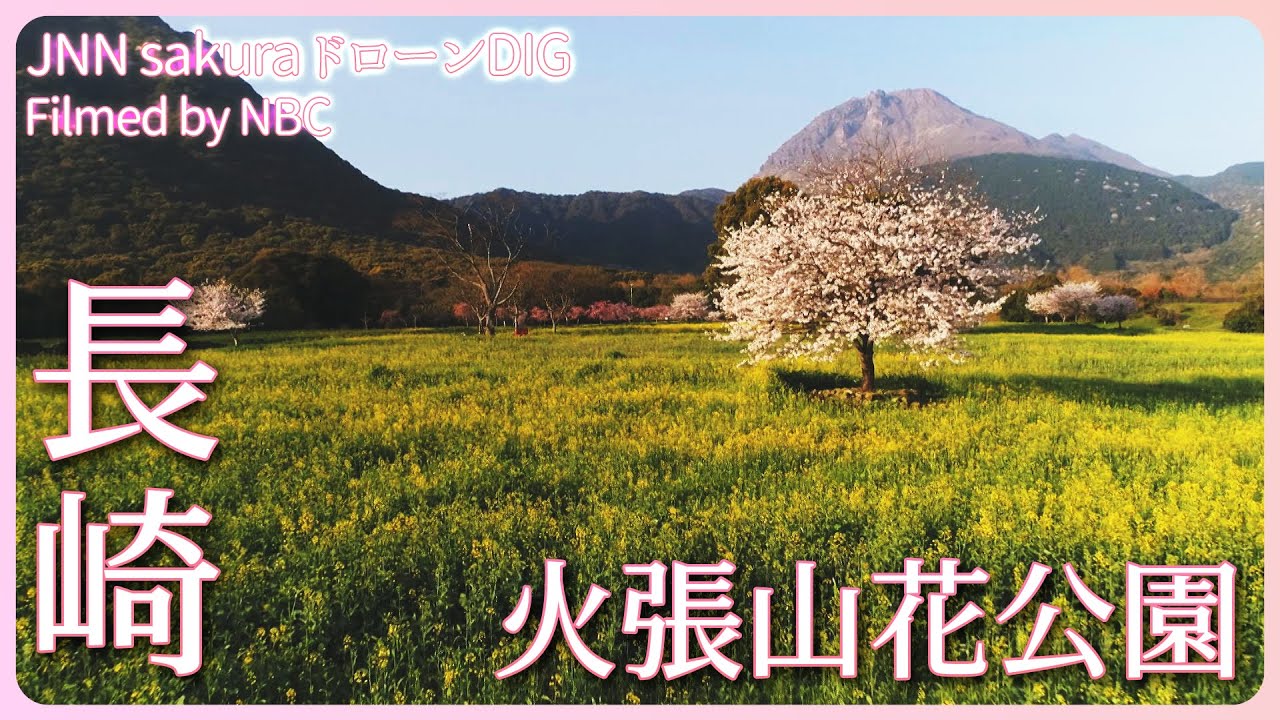 春色の景色へ 長崎県・島原市 火張山花公園【JNN sakuraドローンDIG