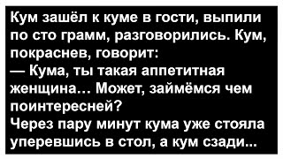 Как кум к куме в гости зашёл... Анекдоты! Сборник юмора!
