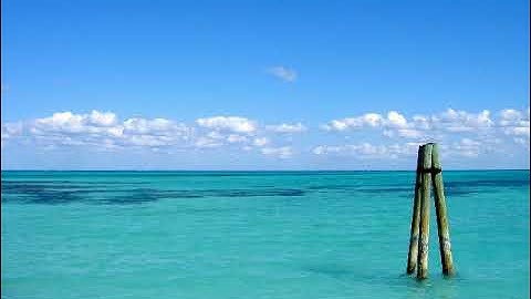 سورة ص بصوت القارئ علي جريد العنزي