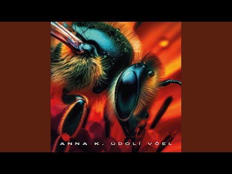 Anna K — Kovboj