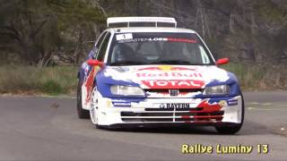 🏎️ Miniature 1:43 Altaya – Peugeot 306 Maxi Rallye De Haute-Provence 2017 (Loeb)