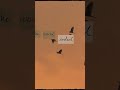 Lagu ini ngegambarin sakitnya stuck di tempat yang sama sementara orang sekeliling kita berhasil 🥲🥀