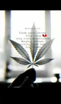 Story wa (ganja)