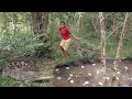 Wow Brave Girl Catches crocodile and Pick some eggs for jungle cooking &amp; Eating Delicious