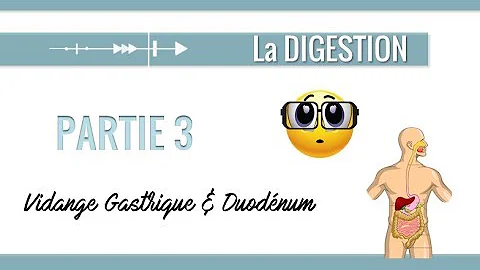 Comment accélérer la vidange gastrique ?