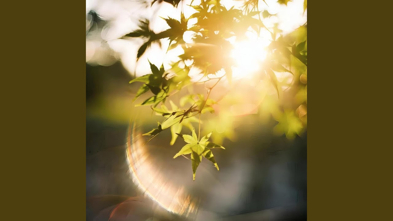 Watch Photon Bloom on YouTube Watch Photon Bloom on YouTube