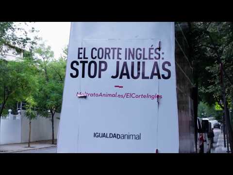 Bruto para medios: Igualdad Animal protesta frente a la junta de accionistas de El Corte Inglés