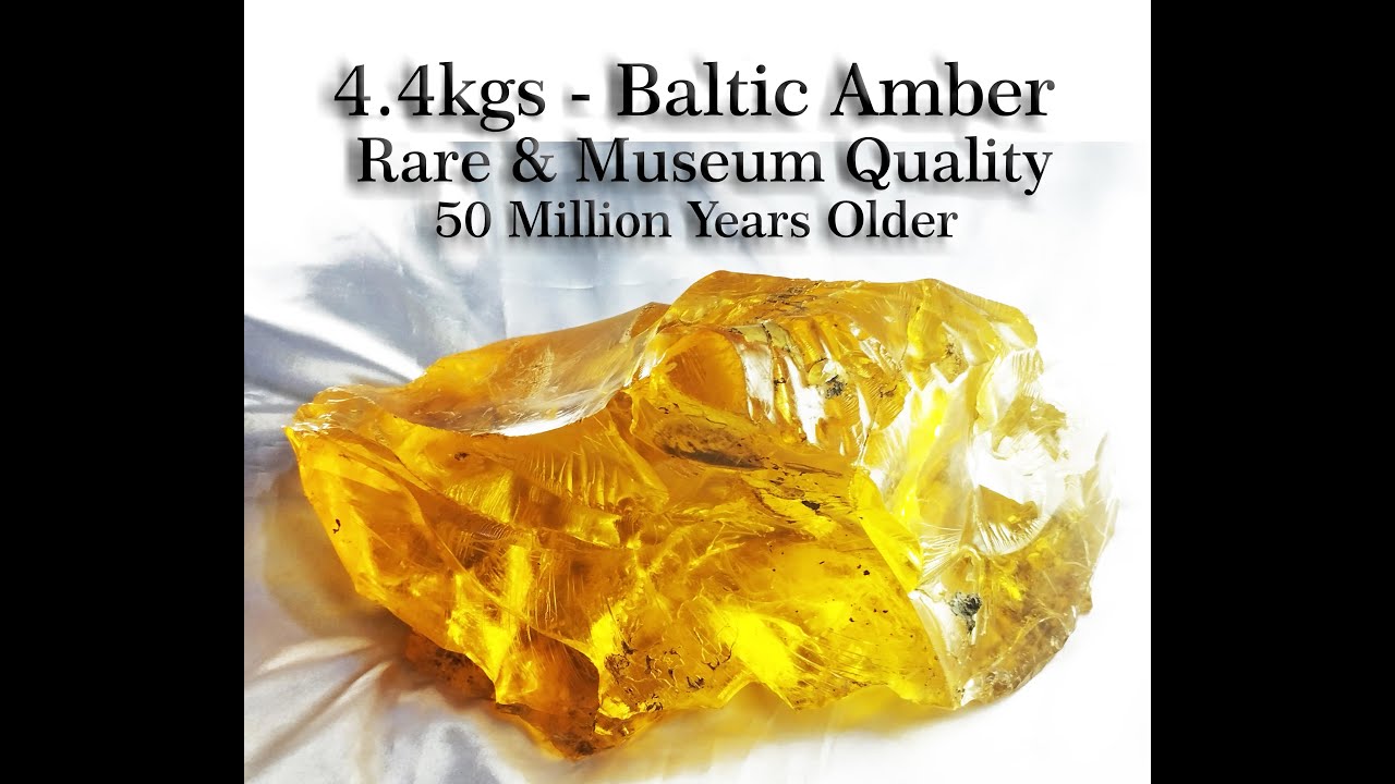 4.4kgs - Baltic Amber - 9.7(lb.) Rare & Museum Quality - 50 Million ...