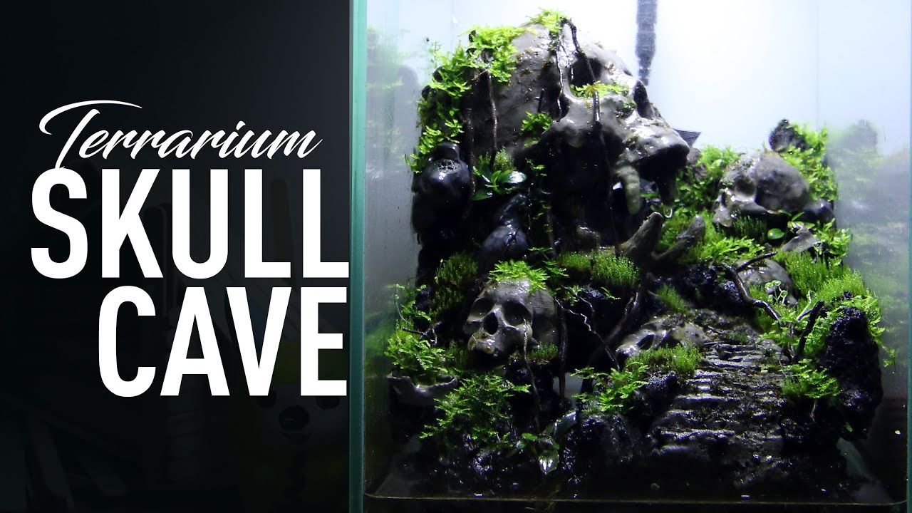 How to make [ SKULL CAVE ] Terrarium YouTube