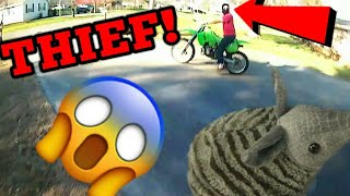 BIKE THIEF STEALS MY BIKE IN MY FRONT YARD,  Then TRADES it for an ARMADILLO!?!?!?! (Not Clickbait)