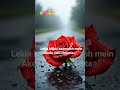 Urdu Shayari Status The Art of Heartbreak, Poetry & WhatsApp