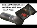 Low-Cost Digiscoping With Your SmartPhone