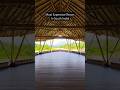 Most Expensive Resort In South India - Timbertales Luxury Resort Coorg#shorts #travel #resortreview