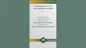 #حديث_اليوم ( اذا سمعتم صياح الديك) #سورة #احاديث #ترند #تلاوة #قرآن #مكة_الان #تلاوات #البقرة #ديك
