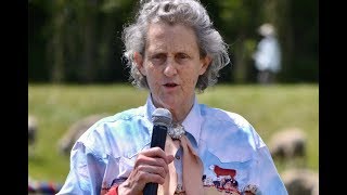 Temple Grandin: Dogs and Autism