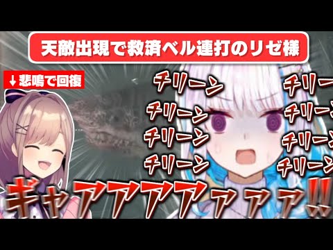 【リゼ虐】限界化する「リゼ様の悲鳴」で「HPを回復」しまくる鈴原るる/愉悦しまくり友情を疑われる「ウェスカー鈴原」【リゼ・ヘルエスタ/鈴原るる/リゼるる/にじさんじ切り抜き】
