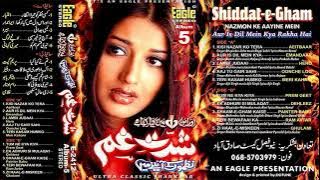 Shiddat-E-Gham Album 5 | Eagle Ultra Classic Jhankar | Nazmon Ke Aayine Mein | PMC Record’s