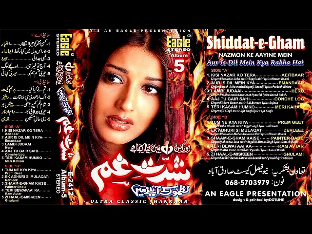 Shiddat-E-Gham Album 5 | Eagle Ultra Classic Jhankar | Nazmon Ke Aayine Mein | PMC Record’s class=