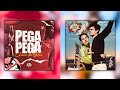 Pega Pega No Cipó X Cinnamon Girl DJ Duarte E DJ TS Lana Del Rey 