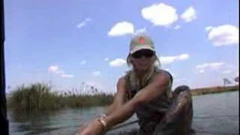 Cindy Garrison - Get Wild 2