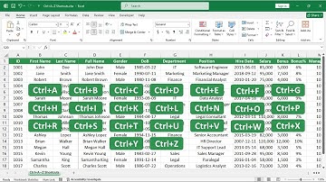 Ctrl Shortcuts in Excel #ExcelTips